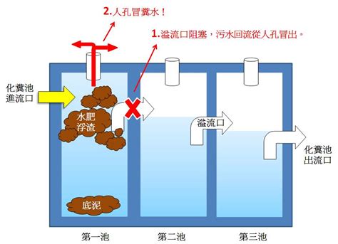 化糞池位置蓋哪最好|化糞池快速定位法